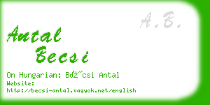 antal becsi business card